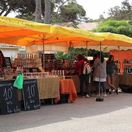 Appartamento Studio Port Wifi Terrasse Hyères
